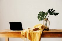 Modern workplace with laptop and books on wooden desk with green foliage in glass vase and yellow cloth against white wall — Stock Photo