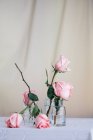 Rosas cor-de-rosa dentro de vasos de vidro colocados na mesa contra fundo neutro — Fotografia de Stock