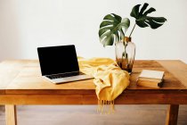 Сучасне робоче місце з ноутбуком та книгами на дерев'яному столі з зеленим листям у скляній вазі та жовтій тканині на білій стіні — стокове фото