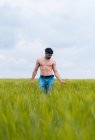 Ruhiger Mann mit nacktem muskulösem Oberkörper, der Wipfel von Gras berührt und im grünen Feld vor bewölktem Himmel spaziert — Stockfoto