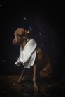 Adorabile piccolo cane italiano piccolo con asciugamano prepararsi per il bagno su sfondo scuro pieno di bolle di sapone — Foto stock