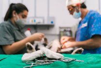 Vue latérale du vétérinaire et de l'infirmière fournissant une chirurgie au patient animal de compagnie dans la salle d'opération avec un accent sélectif sur les instruments chirurgicaux métalliques et le bandage — Photo de stock