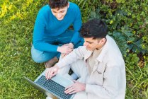 De cima de colegas do sexo masculino navegando netbook e trabalhando no projeto remotamente enquanto sentado no gramado no parque — Fotografia de Stock