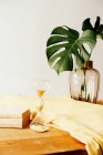 Composição de plantas verdes frescas em vaso de vidro e livros empilhados com têxteis amarelos em mesa de madeira contra fundo branco — Fotografia de Stock