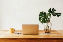 Ноутбук і смартфон на дерев'яному столі з чашкою чаю і скляною вазою з зеленими рослинами на білій стіні — стокове фото