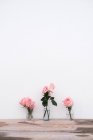 Рожеві троянди всередині скляних ваз, розміщені на дерев'яній поверхні на нейтральному фоні — стокове фото