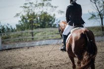 Visão traseira do jóquei feminino irreconhecível montando cavalo branco na arena arenosa durante o curativo no clube de equinos — Fotografia de Stock