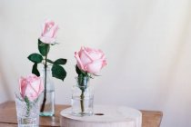 Рожеві троянди всередині скляних ваз, розміщені на дерев'яній поверхні на нейтральному фоні — стокове фото