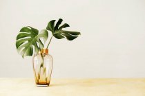Feuilles vertes fraîches de plantes tropicales dans un vase en verre placé sur une table en bois contre un mur blanc — Photo de stock