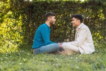 Вид сбоку на восторженную гомосексуальную пару мужчин, смотрящих друг на друга в парке — стоковое фото