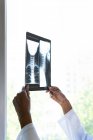 Cortar médico feminino preto em pé perto da janela e examinar a varredura de raios X enquanto trabalhava na clínica — Fotografia de Stock
