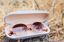 Von oben Nahaufnahme einer Hülle mit Sonnenbrille — Stockfoto