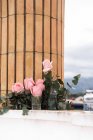 Rosa rosas dentro de jarrones de vidrio colocados en la terraza al aire libre - foto de stock