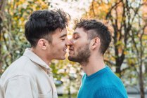 Vista lateral de la pareja homosexual encantada de hombres besándose y mirándose en el parque - foto de stock