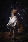Adorable petit chien piccolo italien avec serviette se préparant pour le bain sur fond sombre plein de bulles de savon — Photo de stock