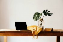 Local de trabalho moderno com laptop e livros em mesa de madeira com folhagem verde em vaso de vidro e pano amarelo contra parede branca — Fotografia de Stock