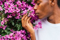 Низкий угол беззаботного афроамериканского мужчины наслаждающегося ароматом бугенвиллии розовых цветов в летнем парке — стоковое фото