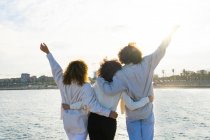 Vista posteriore di gruppo di uomini e donne con i capelli ricci che si abbracciano con le braccia alzando godendo la libertà mentre in piedi sul lungomare della città — Foto stock