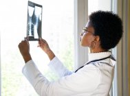 Вид збоку на молоду чорну жінку-лікаря, що стоїть біля вікна і вивчає сканування рентгенівського променя під час роботи в клініці — стокове фото