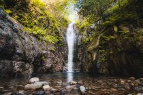 Крупный план водопада посреди леса — стоковое фото