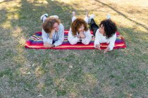 Высокий угол общения различных друзей мужского и женского пола с вьющимися волосами, лежащими на красочном одеяле на лугу и разговаривающими летом — стоковое фото