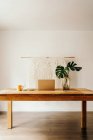 Ноутбук і смартфон на дерев'яному столі з чашкою чаю і скляною вазою з зеленими рослинами на білій стіні — стокове фото