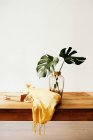 Composition de plantes vertes fraîches dans un vase en verre et des livres empilés avec du textile jaune sur un bureau en bois sur fond blanc — Photo de stock