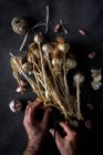 De dessus recadré mains personne méconnaissable organiser bouquet de gousses d'ail pourpre frais placés dans fond sombre — Photo de stock