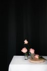 Rosas rosadas dentro de jarrones de vidrio colocados sobre la mesa sobre fondo negro - foto de stock