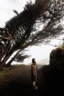 Женщина, стоящая на асфальтированной дороге под удивительным наклонным кипарисом в туманной аллее парка Пойнт Рейес в Калифорнии — стоковое фото