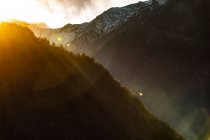 Impresionantes paisajes de bosques de coníferas ubicados en las montañas nevadas del Himalaya en un día soleado en Nepal - foto de stock