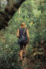 Back view of unrecognizable male traveler walking in misty exotic woods in summer during vacation — Stock Photo