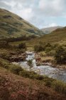 Malerischer Blick auf sprudelndes Wasser mit Felsen und Farnen im Gebirgstal von Glencoe im Vereinigten Königreich im Sommer — Stockfoto