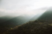 Maravilloso paisaje con coronas de altos árboles siempreverdes contra las montañas de niebla en el horizonte en el Parque Nacional Sequoia en Estados Unidos - foto de stock