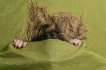 From above of anonymous female with long fair hair covering face with green fabric — Stock Photo