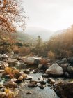 High angle of picturesque scenery of fast creek flowing among boulders against foggy forested highland in Sequoia National Park in USA — Stock Photo