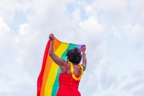 De baixo da visão traseira da mulher afro-americana elegante no desgaste da moda levantando bandeira com ornamento do arco-íris enquanto olha para longe na estrada — Fotografia de Stock