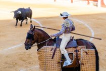 Picador irriconoscibile con lancia a cavallo ed esibizione su bullring con toro arrabbiato durante corrida — Foto stock