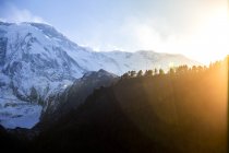 Paesaggio mozzafiato di boschi di conifere situati nelle montagne innevate dell'Himalaya nella giornata di sole in Nepal — Foto stock