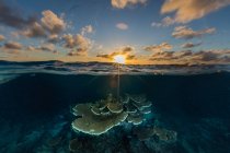 Nublado céu por do sol sobre acenando água limpa e recife de coral colorido no mar — Fotografia de Stock