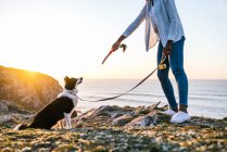 Side view of cropped unrecognizable African American female owner with toy in hand playing with Border Collie dog while spending time together on beach near waving sea at sunset — Stock Photo