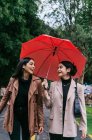 Glückliche ethnische Frauen lächeln und reden, während sie an regnerischen Tagen mit Regenschirm im Park spazieren gehen — Stockfoto