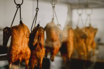 Préparé délicieux canard rôti appétissant suspendu dans la cuisine au restaurant — Photo de stock