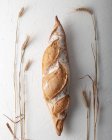 Zusammensetzung von köstlichen frisch gebackenen rustikalen Baguette auf weißer Oberfläche mit getrockneten Weizenspikes — Stockfoto