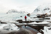 Vista posterior de irreconocible ma admirar hermoso paisaje de mar frío con salpicaduras de agua en las rocas cerca de la costa helada y nevada cerca de las montañas en el día gris de invierno en las Islas Lofoten, Noruega - foto de stock