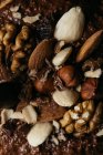 Close-up view from above of different kind of nuts with chocolate — Stock Photo