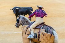 Unbekannter Picador mit Lanze reitet Pferd und tritt auf Stierkampfarena mit wütendem Stier während Corrida auf — Stockfoto