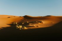 Cielo azzurro nuvoloso sul deserto arido con dune sabbiose nella giornata di sole vicino Marrakech, Marocco — Foto stock