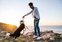 Бічний вид на молоду афроамериканську жінку з іграшкою в руці граючи з прикордонником Коллі собакою під час перебування разом на пляжі біля махання морем на заході сонця. — стокове фото