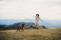 Carefree proprietário do sexo feminino com pau de madeira correndo no gramado e brincando com o cão Labradoodle enquanto se divertem em terras altas juntos — Fotografia de Stock